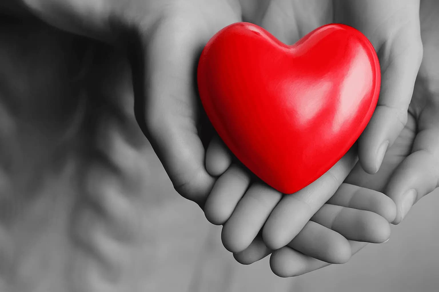 CARSTAR Cares